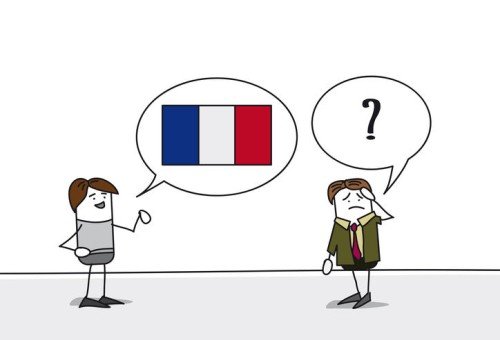 Translating French: Challenges and Tools for Accurate Communication